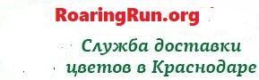 Roaring-Run